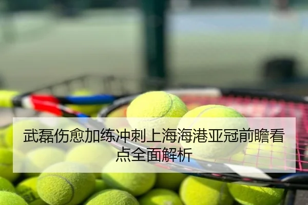 武磊伤愈加练冲刺上海海港亚冠前瞻看点全面解析
